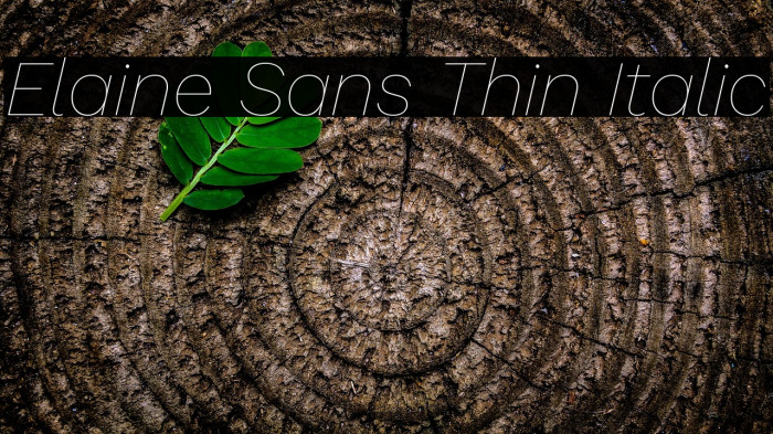 Elaine Sans Thin Italic Example 2