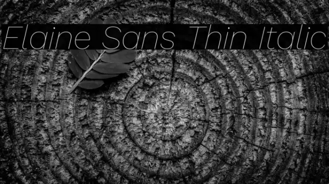 Elaine Sans Thin Italic Font examples