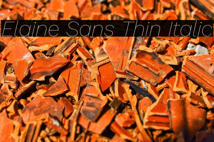 Elaine Sans Thin Italic Example 3