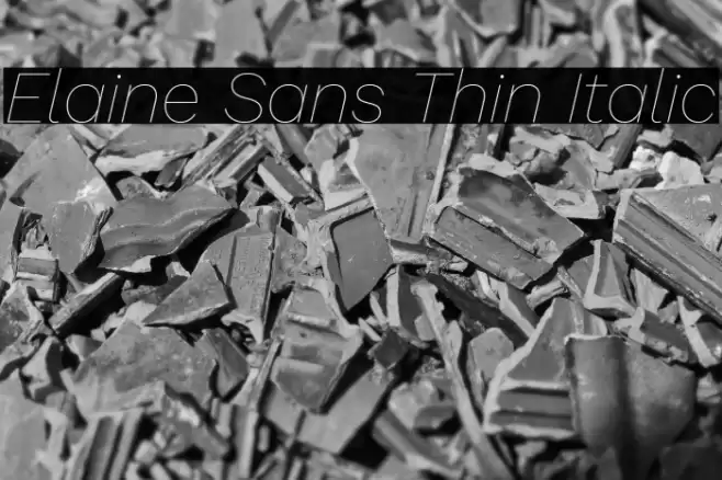 Elaine Sans Thin Italic Font examples