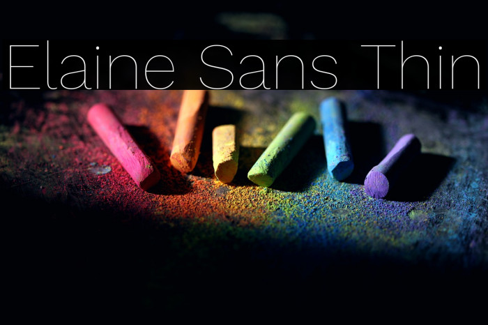 Elaine Sans Thin Example 1