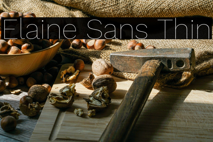 Elaine Sans Thin Example 2