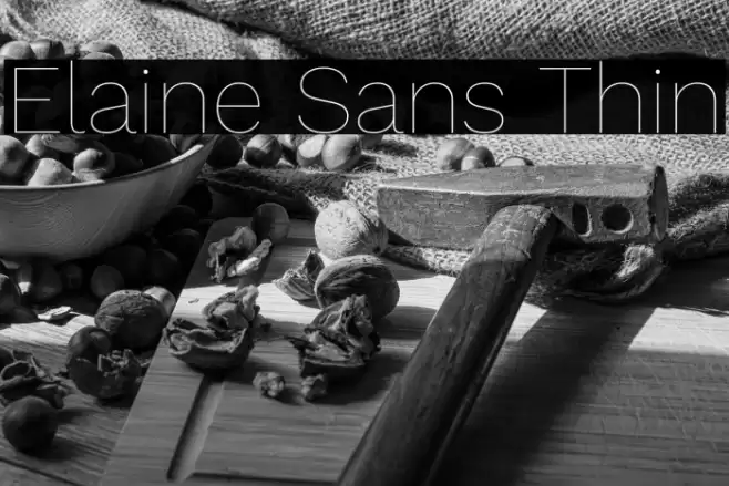 Elaine Sans Thin Font examples