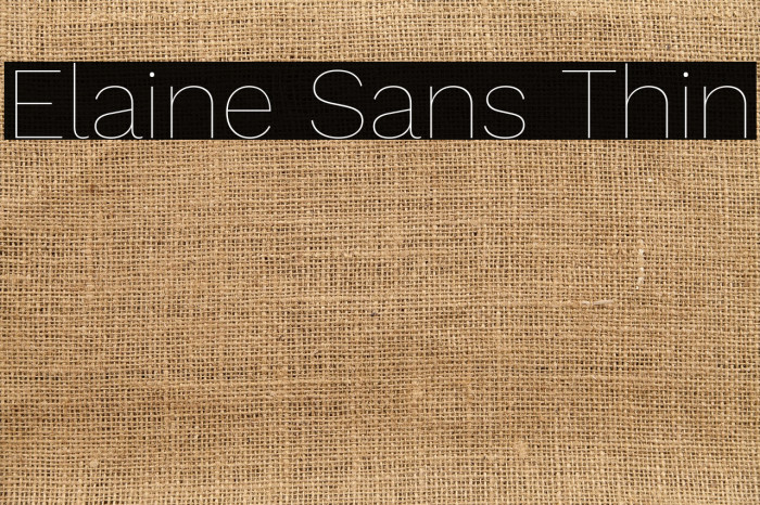 Elaine Sans Thin Example 3