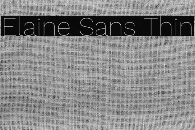 Elaine Sans Thin Font examples