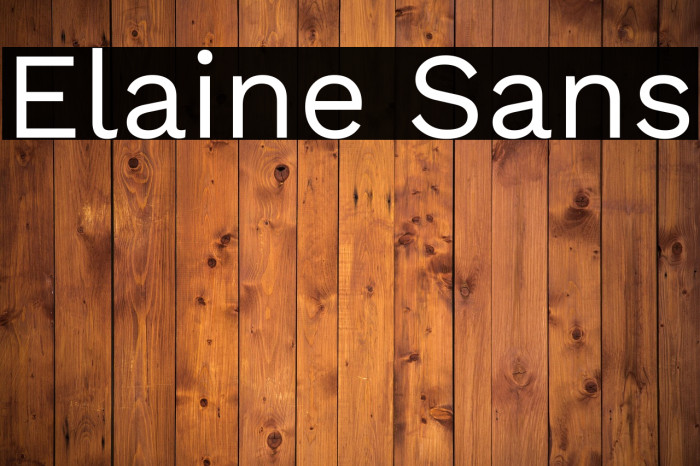 Elaine Sans Example 1