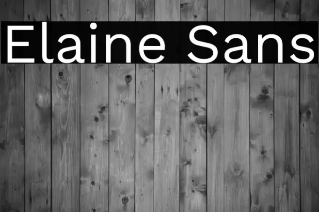 Elaine Sans Font examples