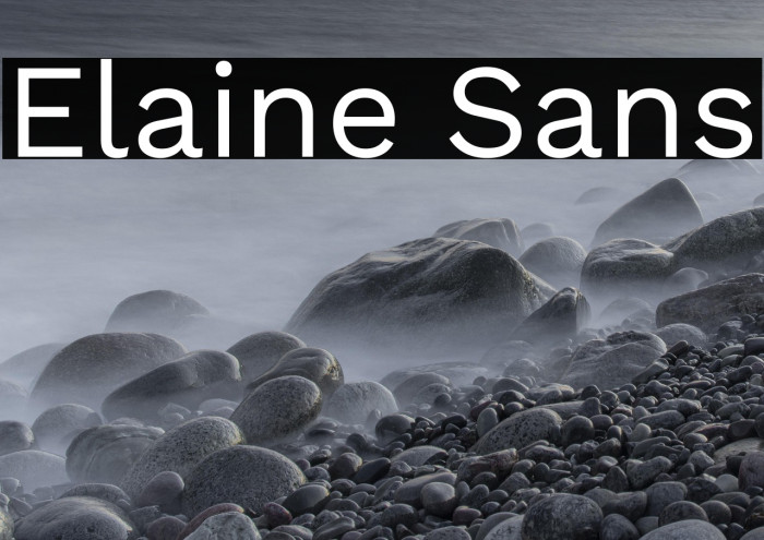 Elaine Sans Example 3