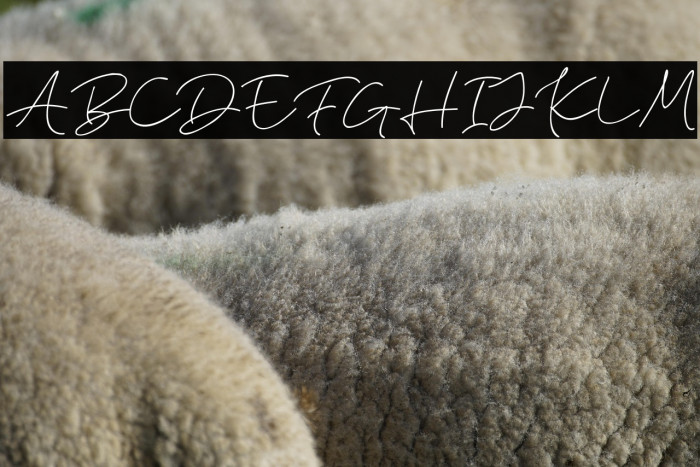 ElaineHanksDEMO Example 3