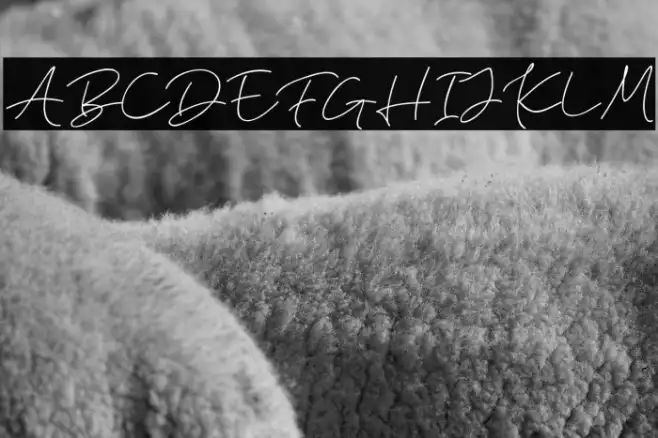 ElaineHanksDEMO Example 3