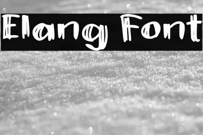 Elang Font examples