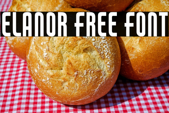 Elanor Free Font Example 1