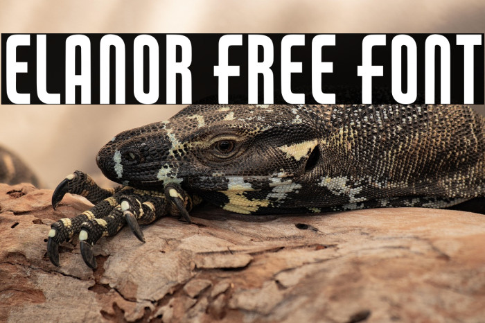 Elanor Free Font Example 3