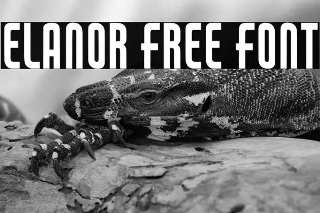 Elanor Free Font Example 3