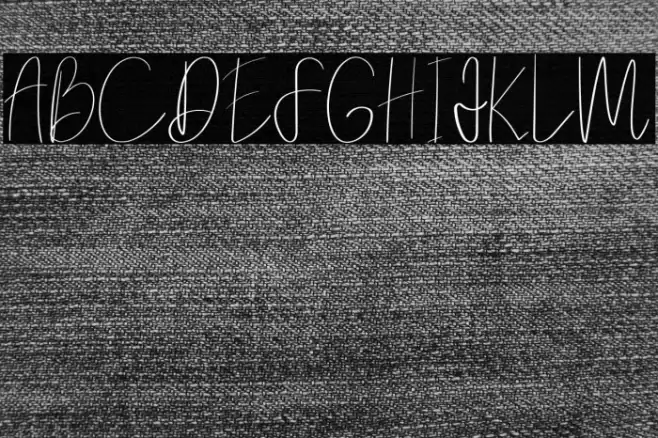 Elanor Font examples