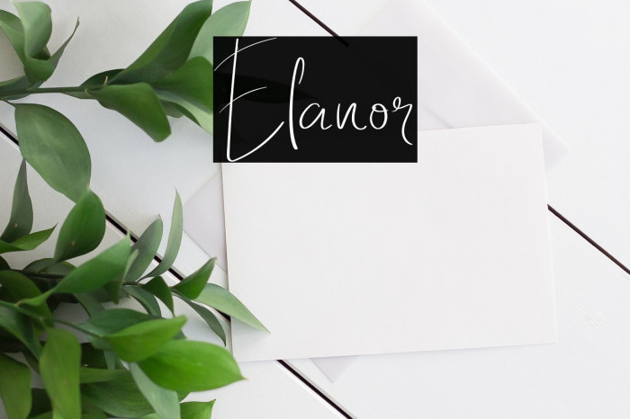 Elanor Font examples