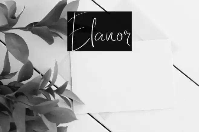 Elanor Шрифта examples