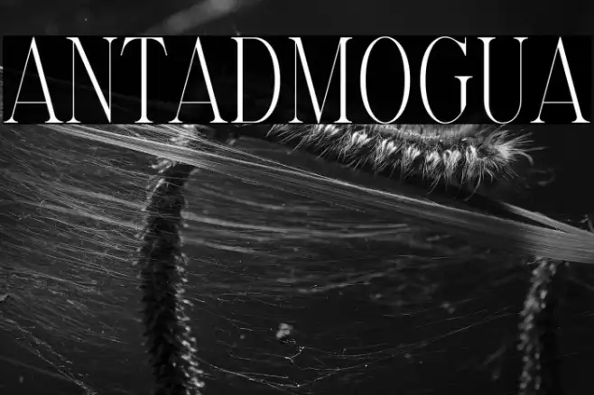 Elantrae Demo Regular Example 1