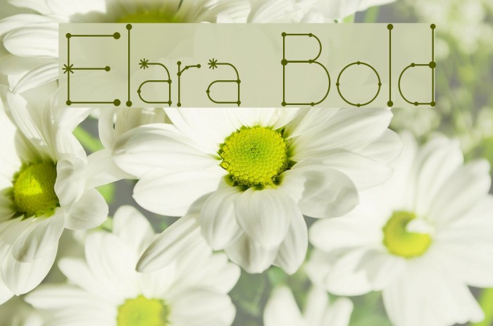 Elara Bold Font examples
