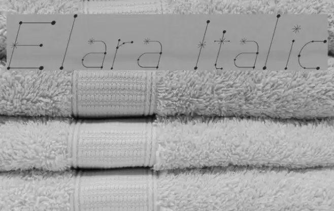 Elara Italic Font examples