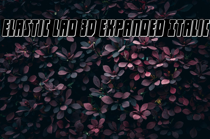 Elastic Lad 3D Expanded Italic Example 1