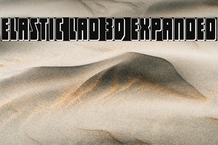 Elastic Lad 3D Expanded Example 2