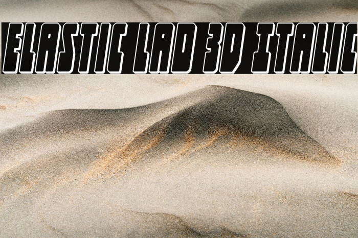 Elastic Lad 3D Italic Example 1