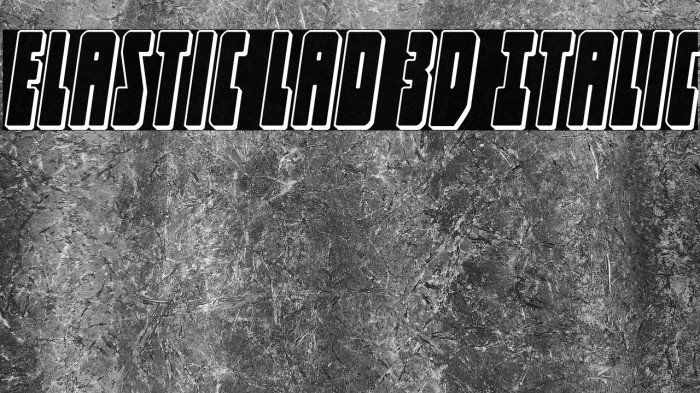 Elastic Lad 3D Italic Example 2