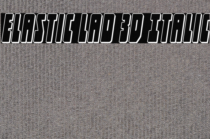 Elastic Lad 3D Italic Example 3