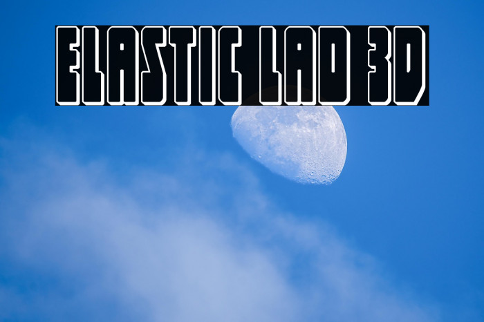 Elastic Lad 3D Example 2