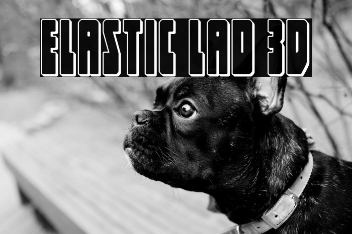 Elastic Lad 3D Example 3