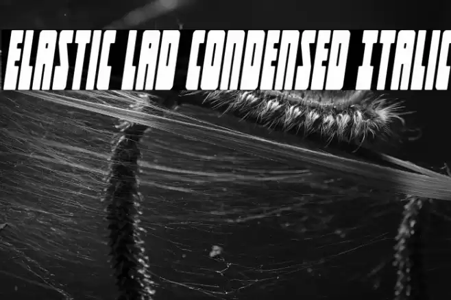 Elastic Lad Condensed Italic Font examples