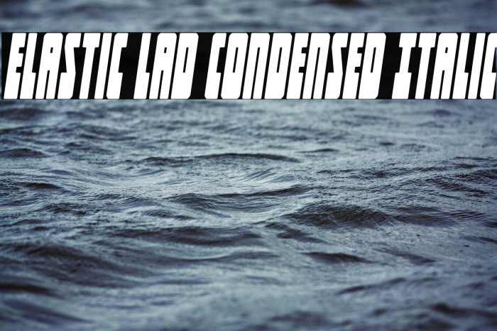 Elastic Lad Condensed Italic Example 3