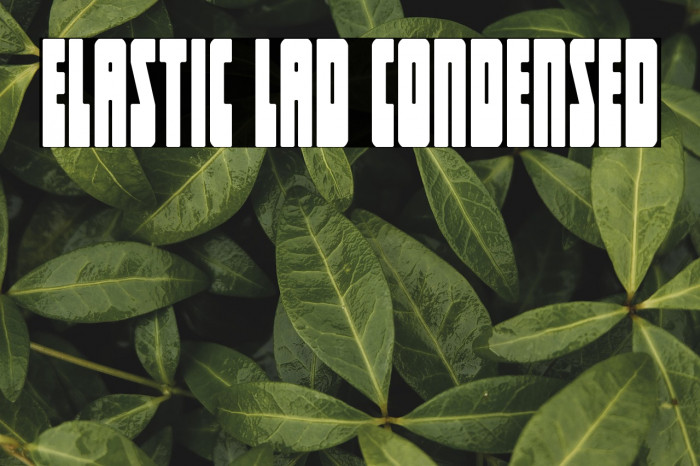 Elastic Lad Condensed Example 3