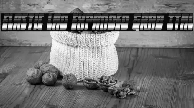 Elastic Lad Expanded Grad Ital Font examples