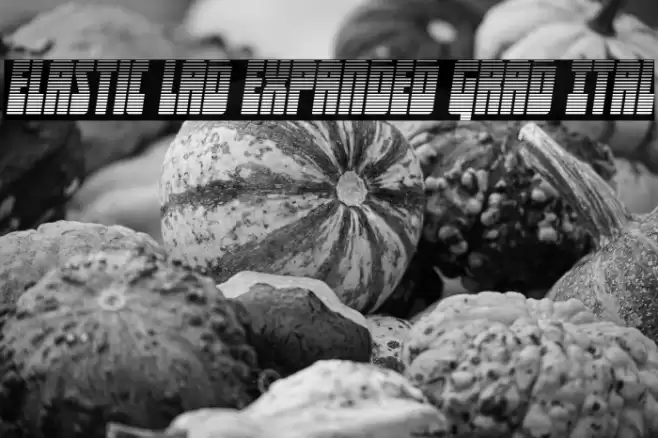 Elastic Lad Expanded Grad Ital Font examples