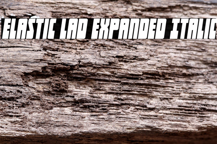 Elastic Lad Expanded Italic Example 1