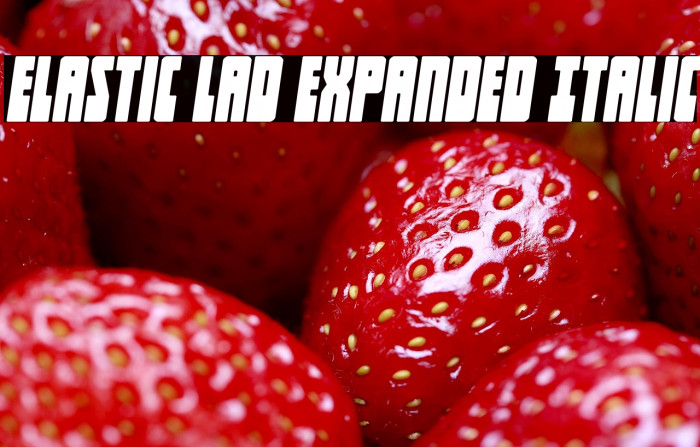 Elastic Lad Expanded Italic Example 3