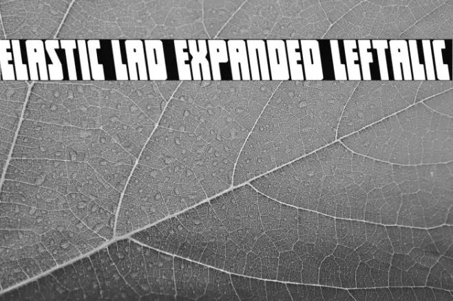 Elastic Lad Expanded Leftalic Example 1