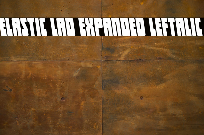 Elastic Lad Expanded Leftalic Example 3