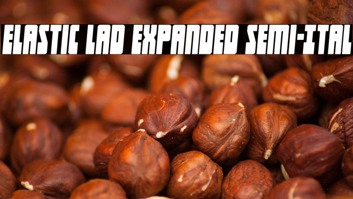Elastic Lad Expanded Semi-Ital Example 3