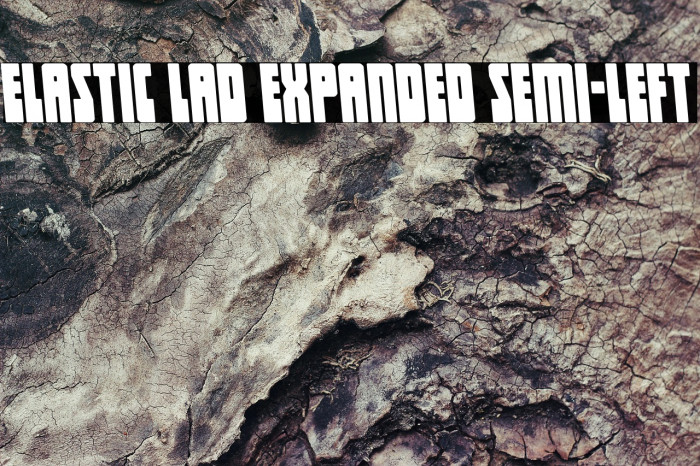 Elastic Lad Expanded Semi-Left Example 1