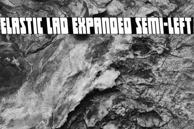 Elastic Lad Expanded Semi-Left Font examples