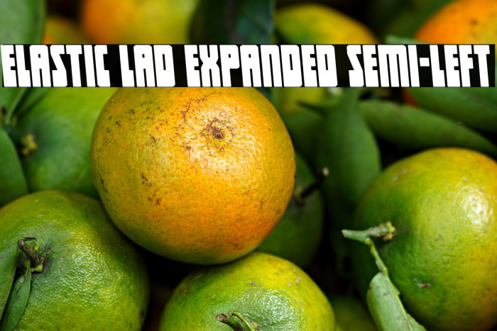 Elastic Lad Expanded Semi-Left Example 3