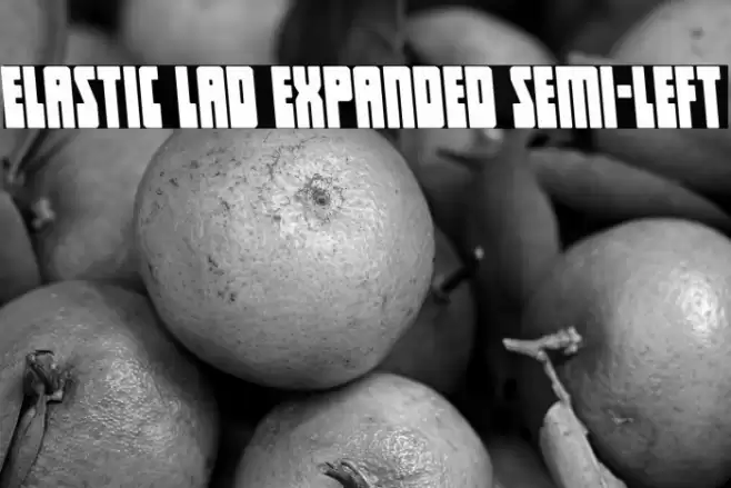 Elastic Lad Expanded Semi-Left Font examples