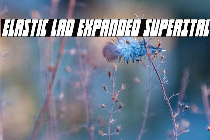 Elastic Lad Expanded SuperItal Example 1