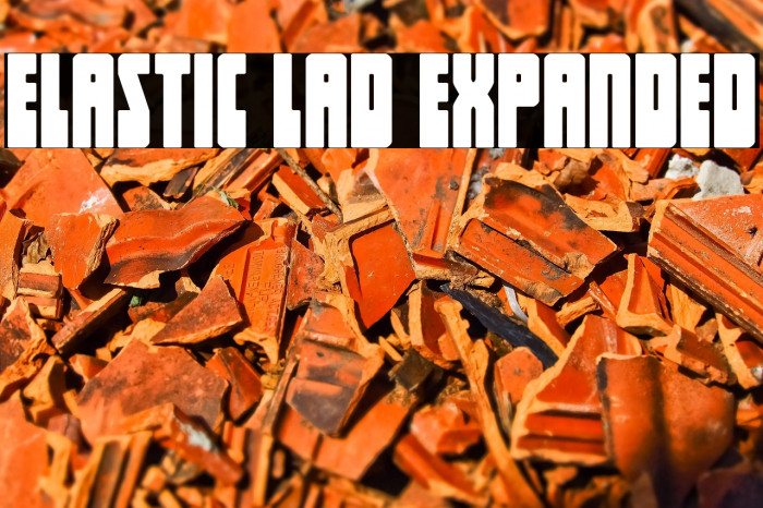 Elastic Lad Expanded Example 3