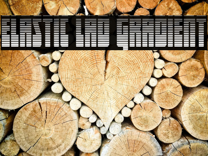 Elastic Lad Gradient Example 1