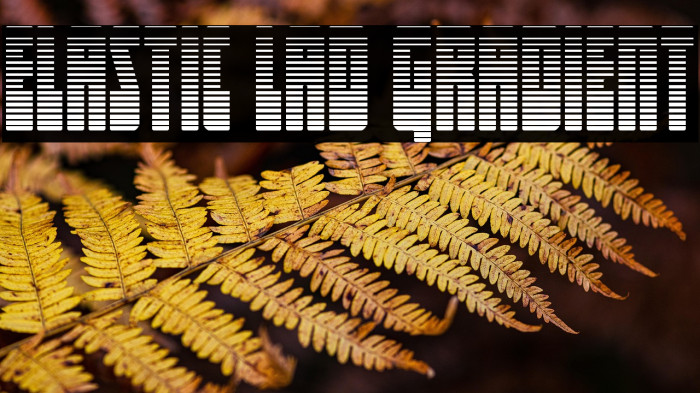 Elastic Lad Gradient Example 3