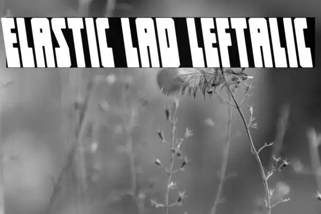 Elastic Lad Leftalic Font examples